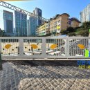 샘모루초등학교 이미지