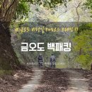아일랜드 모텔 | [260411-12] 금오도 비렁길 백패킹 [백패킹챌린지 91/100]