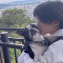 우리다온약국 이미지