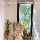 젠테라피네츄럴힐링센터 - 동구 팔공로51길 11 | 젠테라피네츄럴힐링센터