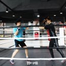 클럽복싱인 이미지