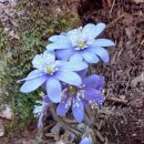 푸른정비 이미지