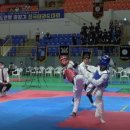 영광태권도체육관 이미지