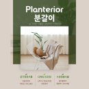 종근당건강헬스벨스토리영천네이버플라워 | 영천꽃집 네이버플라워 화분 소개