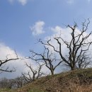 보성강1 이미지