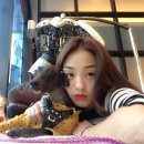 다온(DAON)헤어 이미지