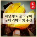 3145 | 해남 황토 꿀 고구마 어떤 점이 특별할까요?