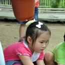 정남초등학교 이미지