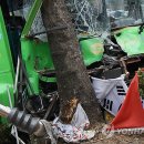 강서구-43 이미지