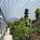 수목원농장 이미지