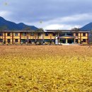 산운초등학교 이미지