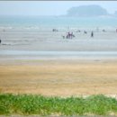 몽산포 송림 이미지