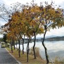 바우길 5구간 이미지