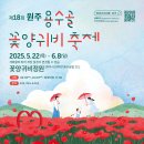 2025 원주 용수골 꽃양귀비축제 – 화려한 꽃의 향연을 만나다!