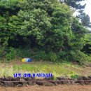 신풍교차로 3 이미지