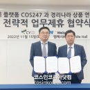 화장품나라 이미지