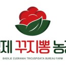 백제꾸지뽕농장 네이버블로그