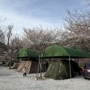 맑은물소리 | 계곡 물소리 들으며 머문 거창월성계곡오토캠핑장 다녀온 후기