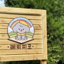 레티피코 네이버블로그