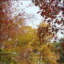 현대경복유치원 이미지