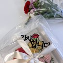 메종드레더