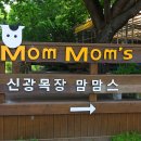 신광목장 이미지