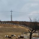 서부산업단지 조형물 | 설 연휴에 다녀온 보령 우유창고, 아이들과 가기 좋은 대형카페