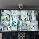 스테이단잠안산