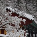 설국을 찾아서 백양사 설경, 쌍계루,팔층석탑,백암산,눈꽃,전남 장성,폭설 이미지