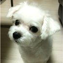 지경희동물병원 이미지