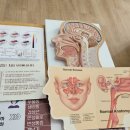 유성한의원 이미지