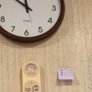 [임신준비][시험관2차] 마리아플러스 신선이식 3일배아 후기