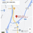 아모르무인텔 이미지