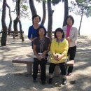 보성다비치콘도 이미지