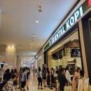 도도푸드 이미지