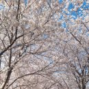 낙동강변3 이미지