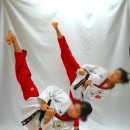 경희대 더함 태권도장 이미지