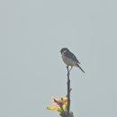 낙동강변19 이미지