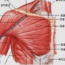 딥스스튜디오 이미지