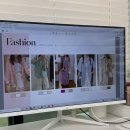 메를로헤어 | 서울 퍼스널컬러 웜톤 쿨톤 진단 후기