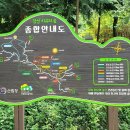 편백나무쉼