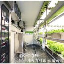 그린IT와 녹색채소의 21st 만남 “IT-LED 식물공장” 이미지