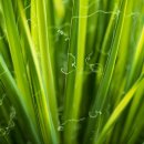 용머리공인중개사사무소 이미지