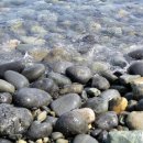 그램그램 이미지