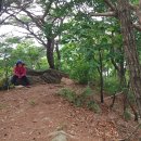 강남중학교 이미지