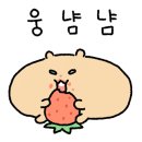무스비브로