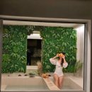 고립낙원 이미지