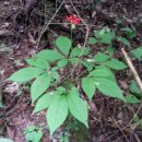 영동농장 이미지