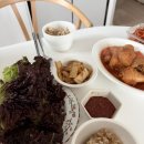 상추 | [ 포기상추 추천 ] 상추소녀 포기상추 추천후기