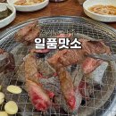 일품집 | 경기광주 경안동 맛집 가성비 고기집 일품맛소 저녁 후기